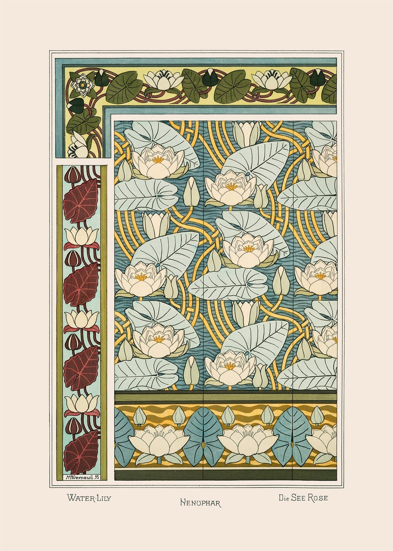 Water Lily - Nenuphar - Die See Rose