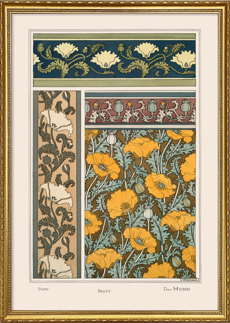 Poppy - Pavot - Der Mohn