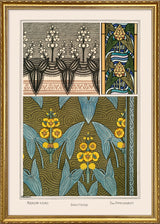 Arrow Head - Sagittaire - Das Pfeilkraut