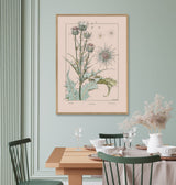 Thistle - Chardon - Die Distel - Outlet
