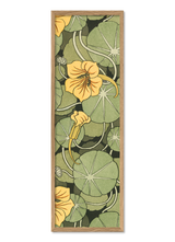 Nasturtium