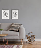 Merian Plate No.4 Taraxacon