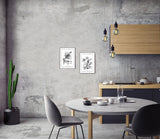 Merian Plate No.4 Taraxacon