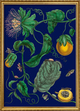 Passion Fruit Flowers