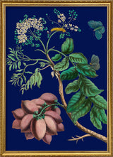 Purple Monbin Plum tree