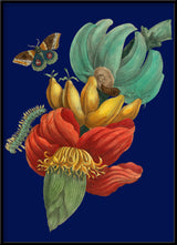 Banana Flower