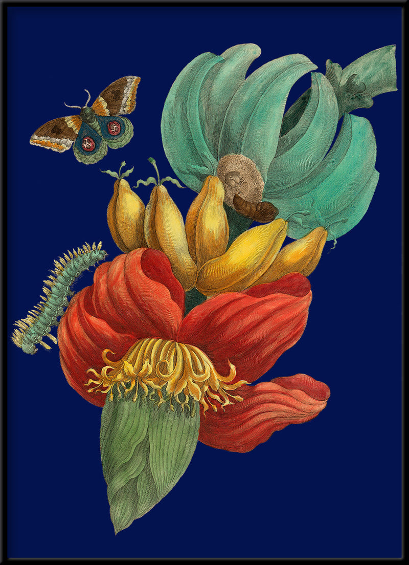 Banana Flower