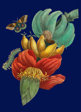 Banana Flower