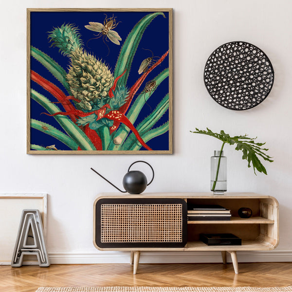 Pineapple Plant and Insects