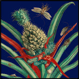 Pineapple Plant and Insects