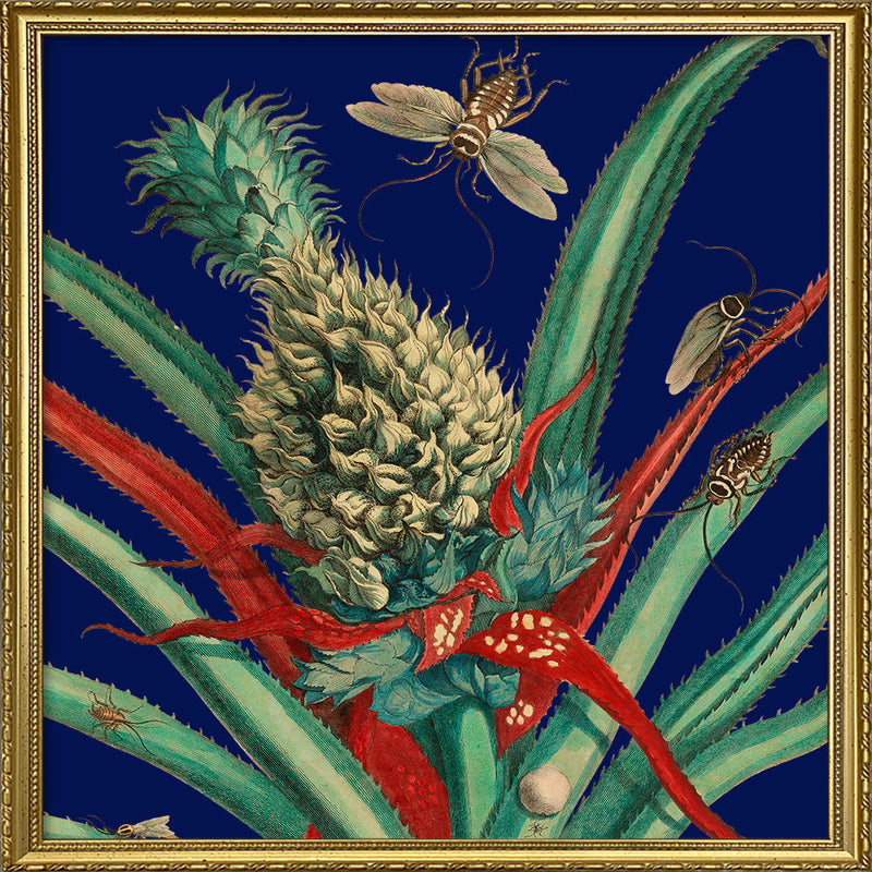 Pineapple Plant and Insects