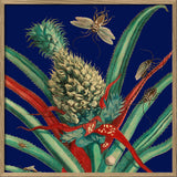 Pineapple Plant and Insects