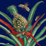 Pineapple Plant and Insects
