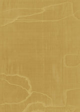 Mustard Yellow Book Cover