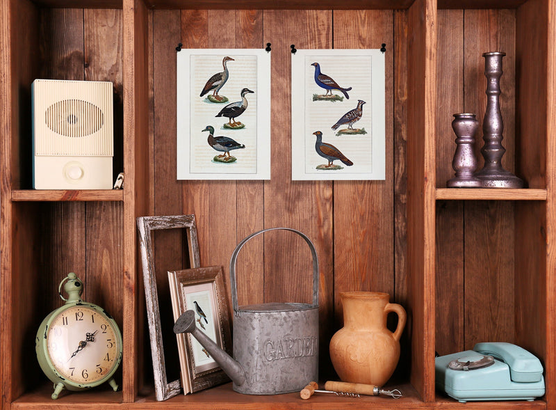 Le Tetras - Le Petit Tetras - La Gélinotte