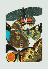 Papillon IV. Mini Print