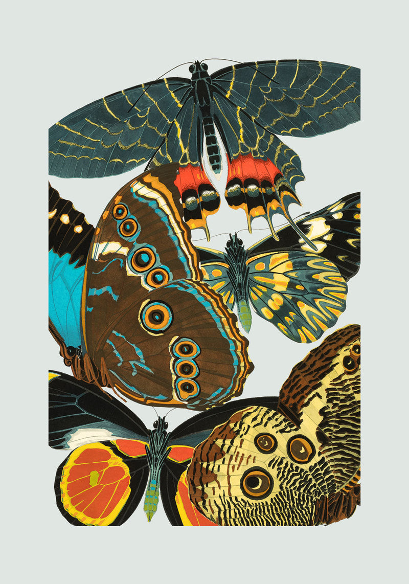Papillon IV. Mini Print