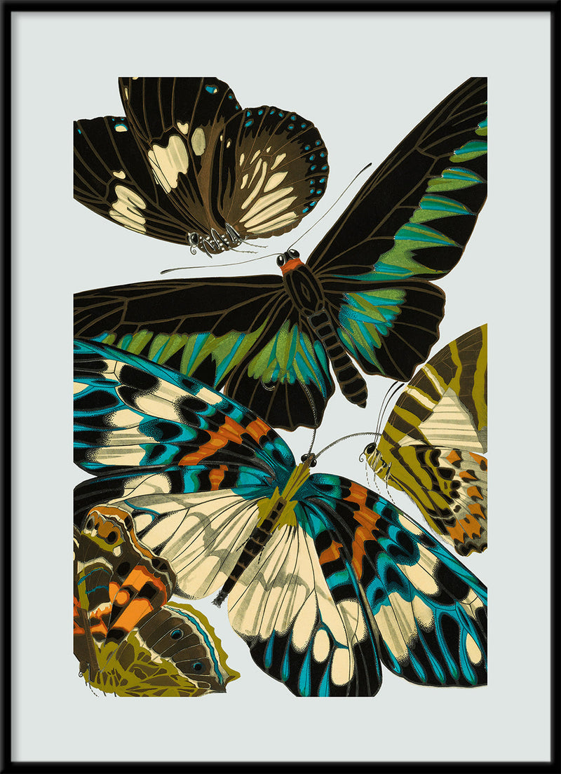 Papillon V. Mini Print