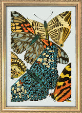 Papillon VII. Mini Print