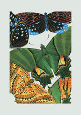 Papillon VIII. Mini Print