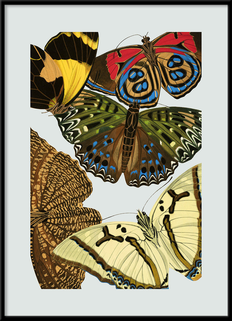 Papillon X. Mini Print