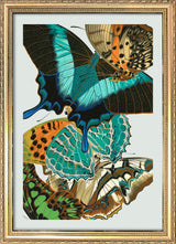 Papillon XI. Mini Print