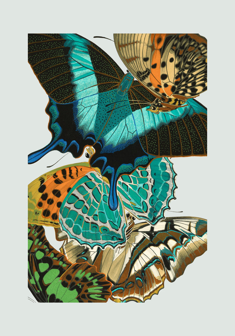 Papillon XI. Mini Print