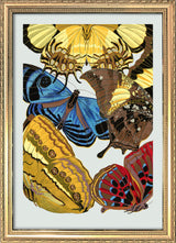 Papillon XII. Mini Print