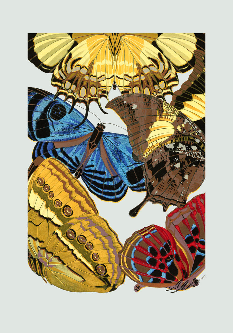 Papillon XII. Mini Print