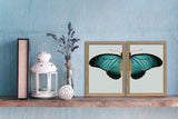 Blue Butterfly Left. Mini Print