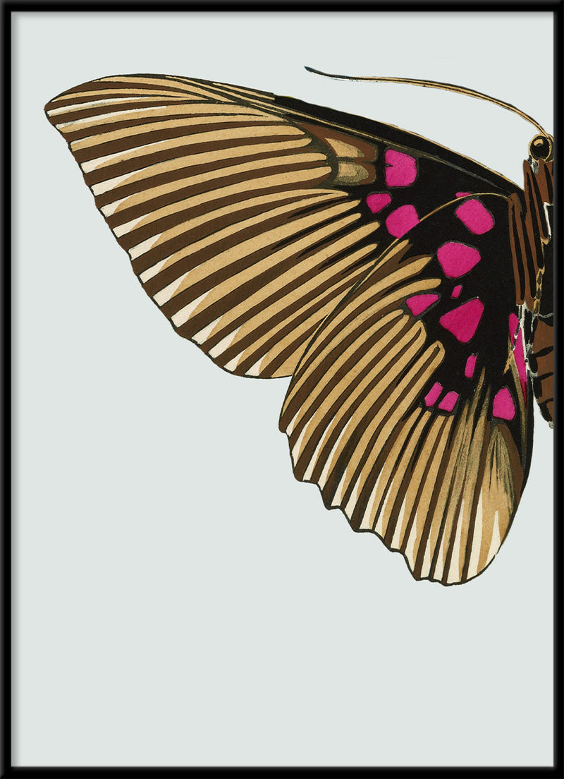 Gold and Fuchsia Butterfly Left. Mini Print