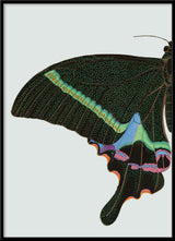 Green spotted Butterfly Left. Mini Print