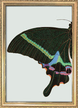 Green spotted Butterfly Left. Mini Print