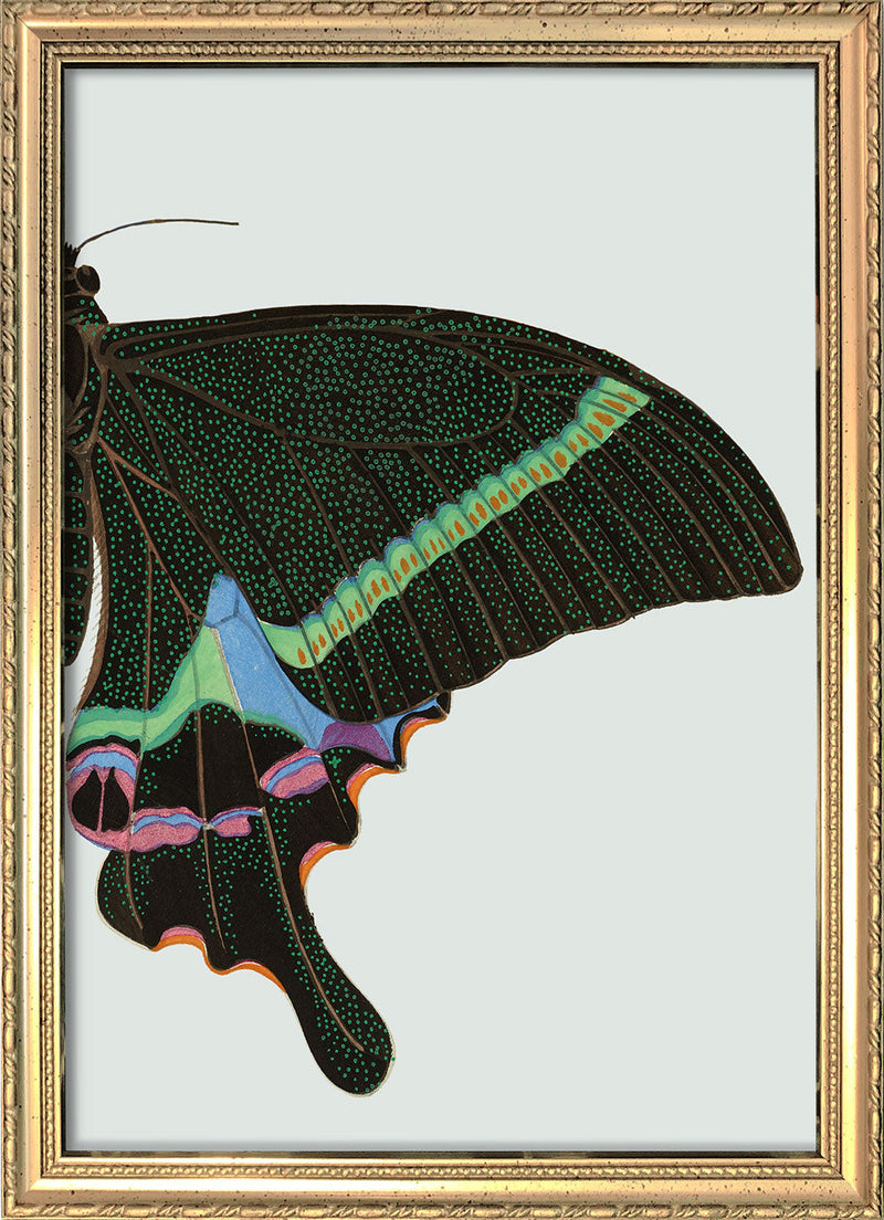 Green spotted Butterfly Right. Mini Print