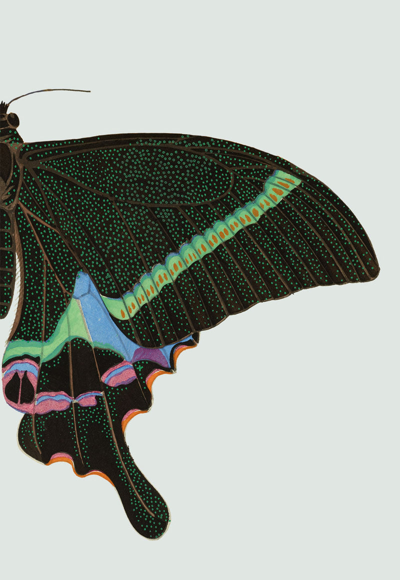 Green spotted Butterfly Right. Mini Print