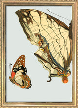 Beige and Brown Butterfly Left. Mini Print