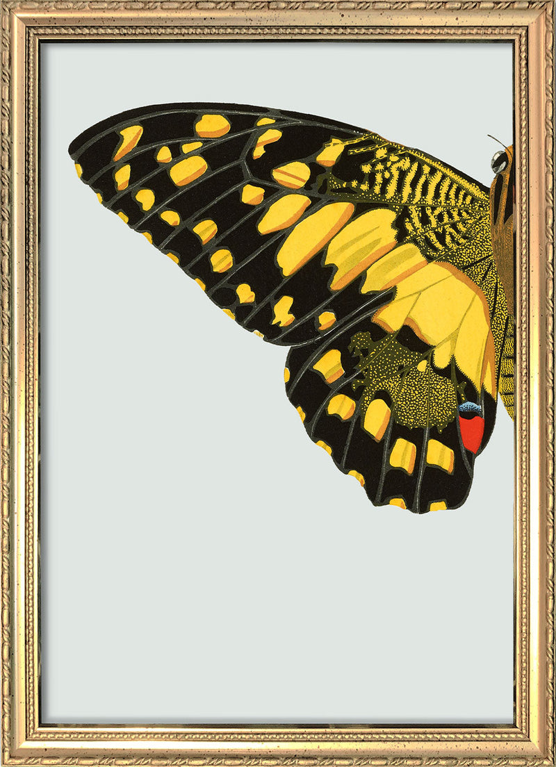 Yellow dotted Butterfly Left. Mini Print