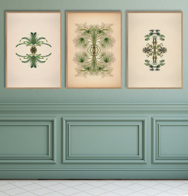 Botanical Reflection Limited Edition Print