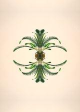 Botanical Reflection Limited Edition Print