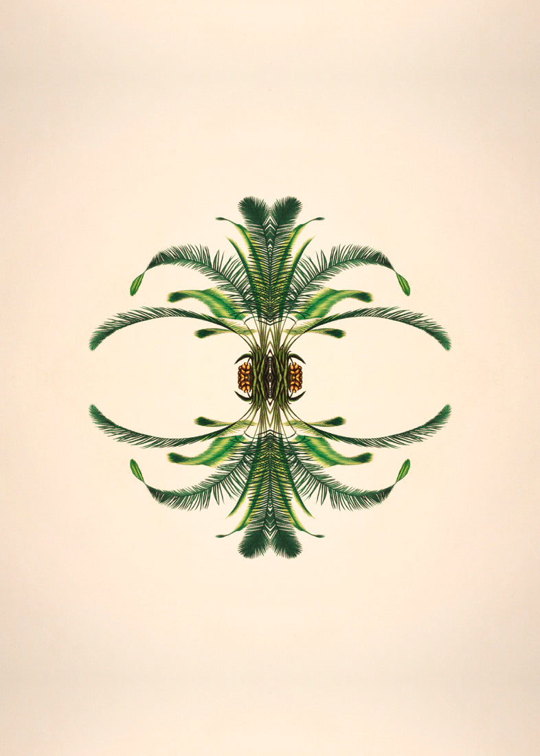 Botanical Reflection Limited Edition Print