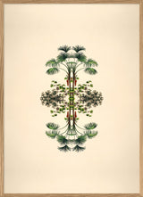 Botanical Reflection Limited Edition Print