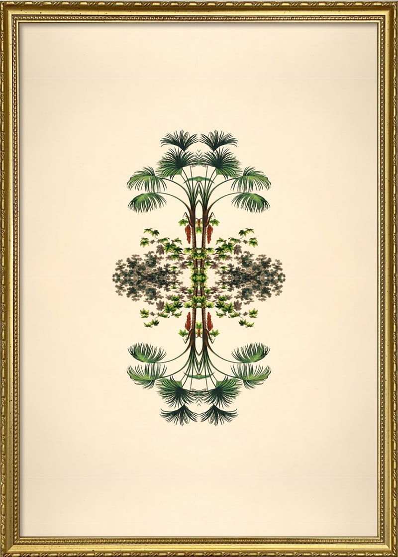 Botanical Reflection Limited Edition Print