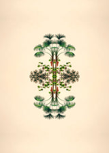 Botanical Reflection Limited Edition Print