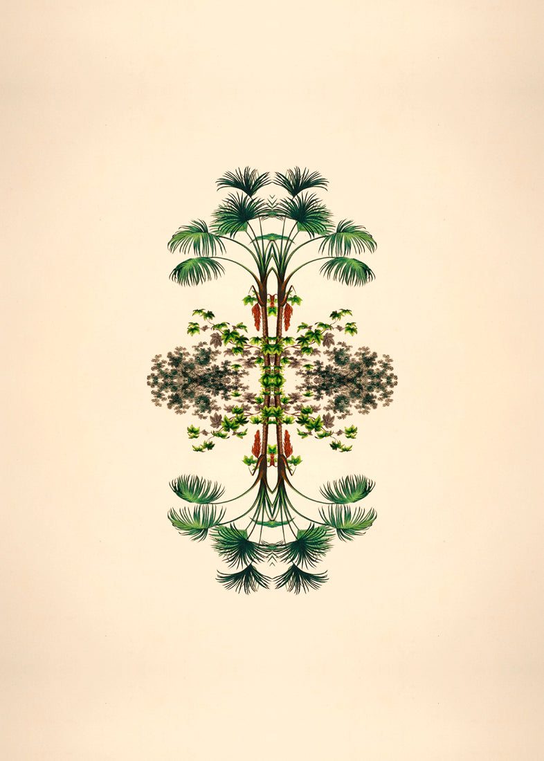 Botanical Reflection Limited Edition Print