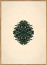 Botanical Reflection Limited Edition Print