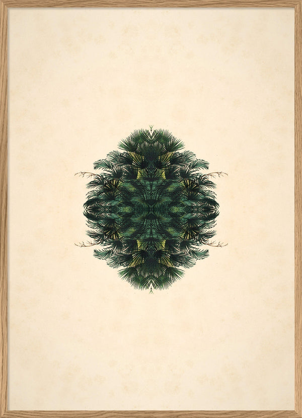 Botanical Reflection Limited Edition Print