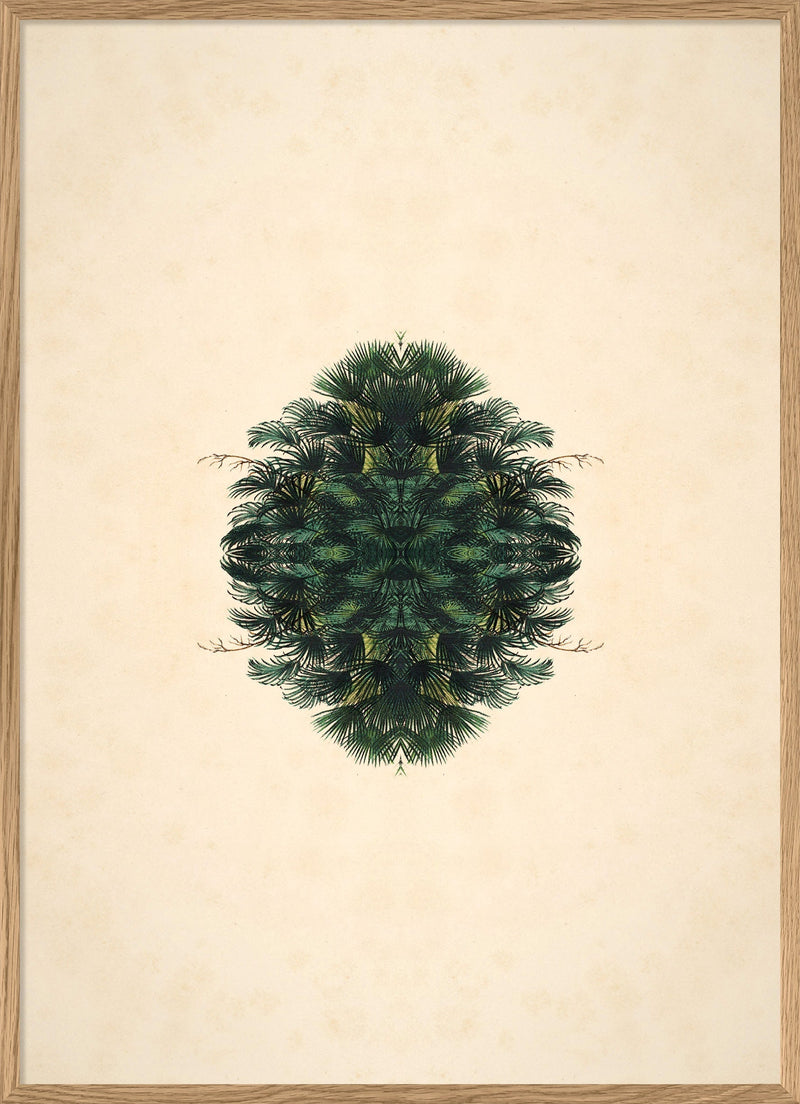 Botanical Reflection Limited Edition Print