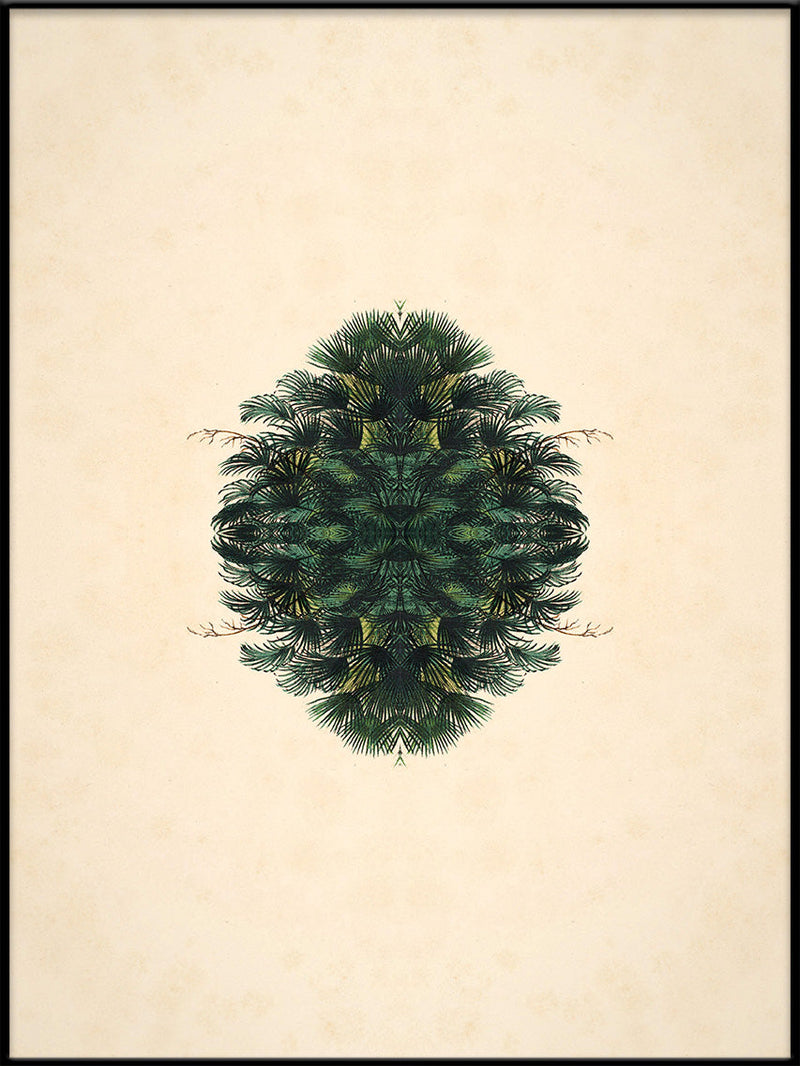 Botanical Reflection Limited Edition Print