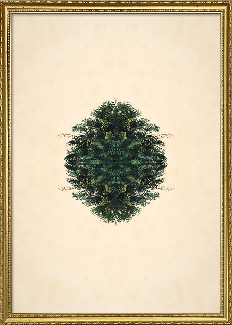 Botanical Reflection Limited Edition Print