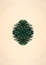 Botanical Reflection Limited Edition Print